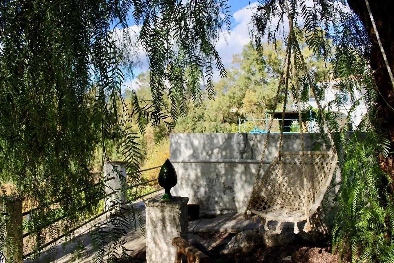 Gospodarstwo wiejskie Pensjonat Cortijo El Puente Viñuela