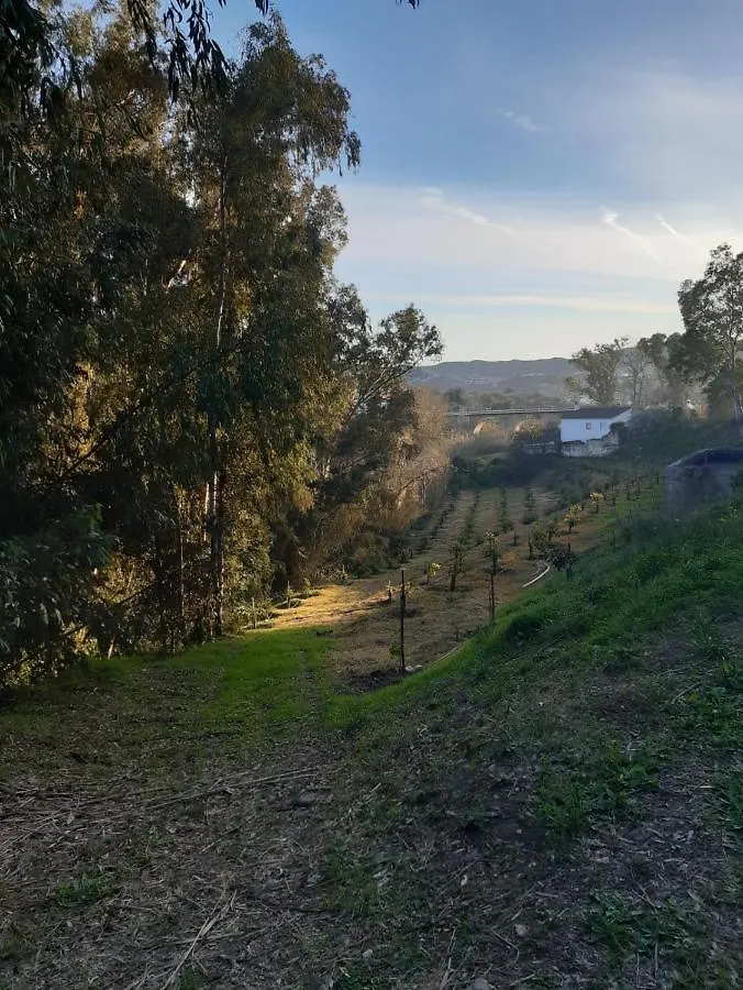 Pensjonat Cortijo El Puente Viñuela